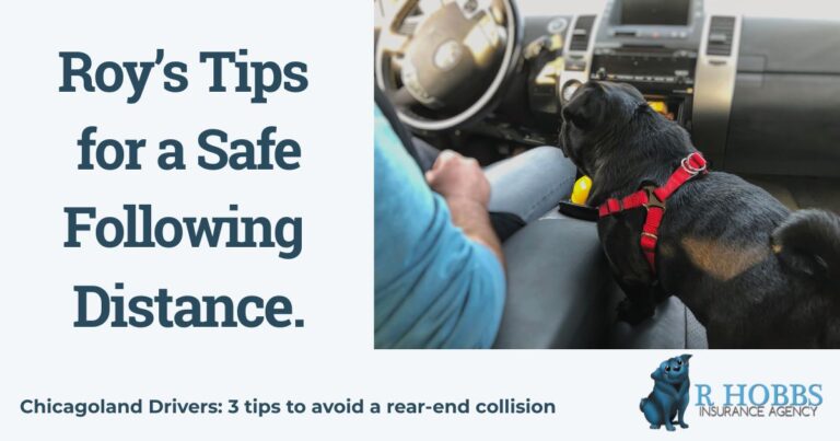R Hobbs Insurance mascot Roy the Pug observing safe following distance for Chicagoland drivers.